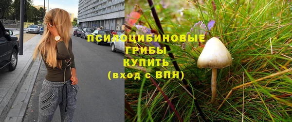ECSTASY Вязники