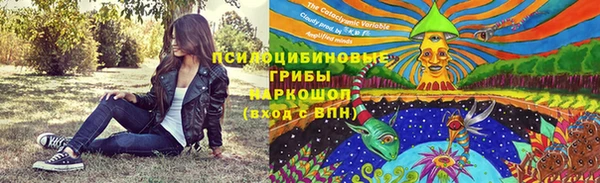 ГАЛЛЮЦИНОГЕННЫЕ ГРИБЫ Володарск