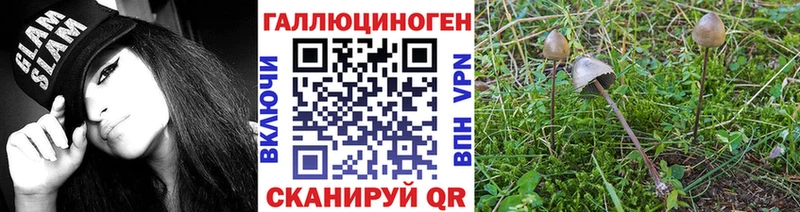 blacksprut онион  Зуевка  Галлюциногенные грибы прущие грибы 